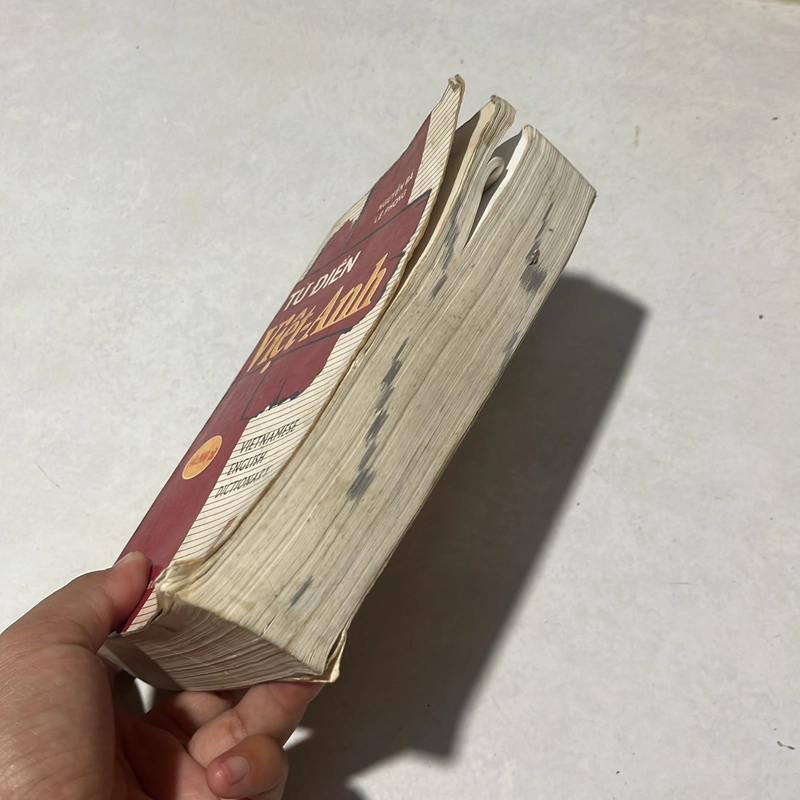 Từ điển Việt - Anh 544313