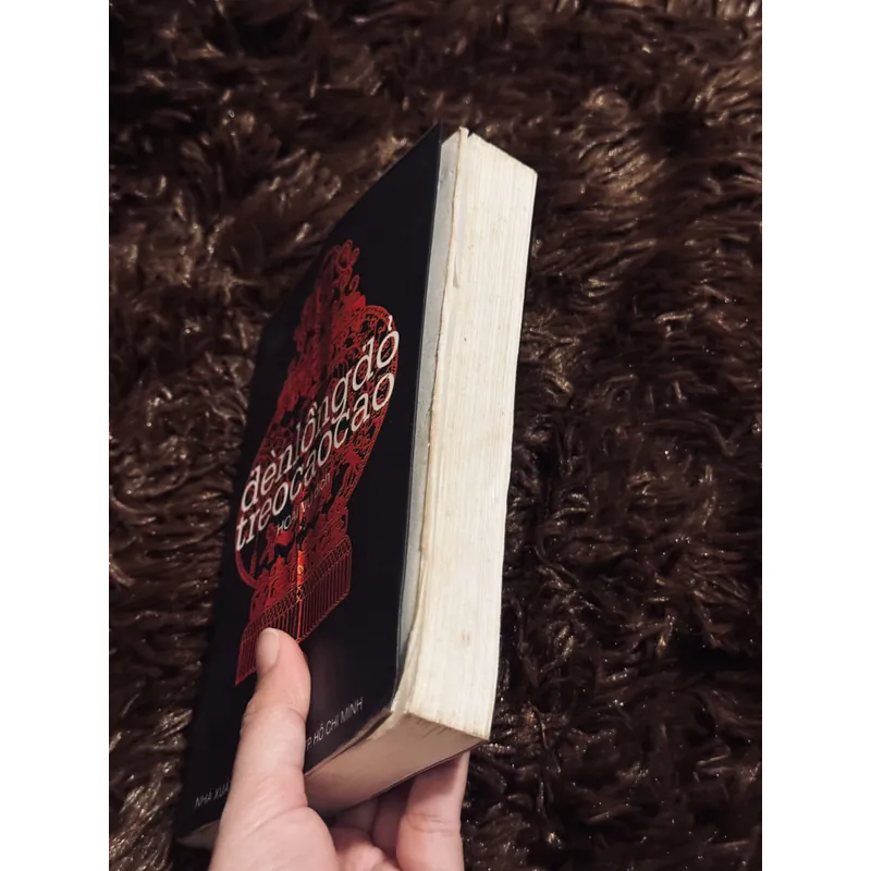 Đèn lồng đỏ treo cao cao 722705