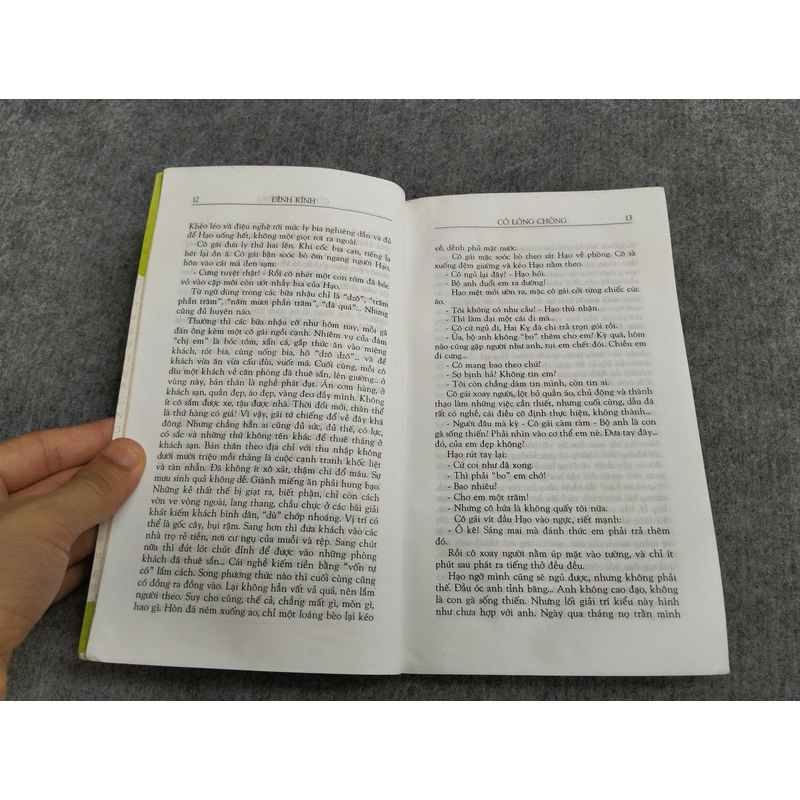 CỎ LÔNG CHÔNG - ĐÌNH KINH 538126