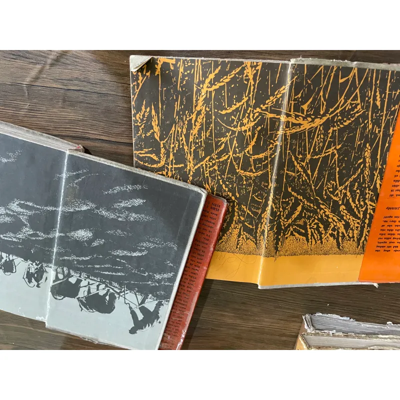 ĐẤT VỠ HOANG - NXB CẦU VỒNG 573079