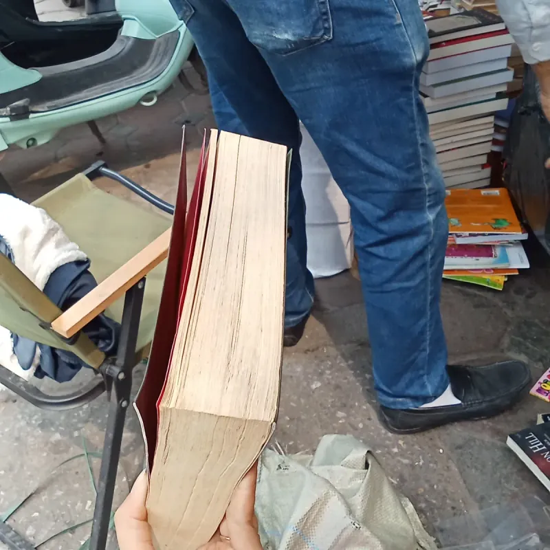 Nếu ốc sên có tình yêu - Đinh Mặc  961471