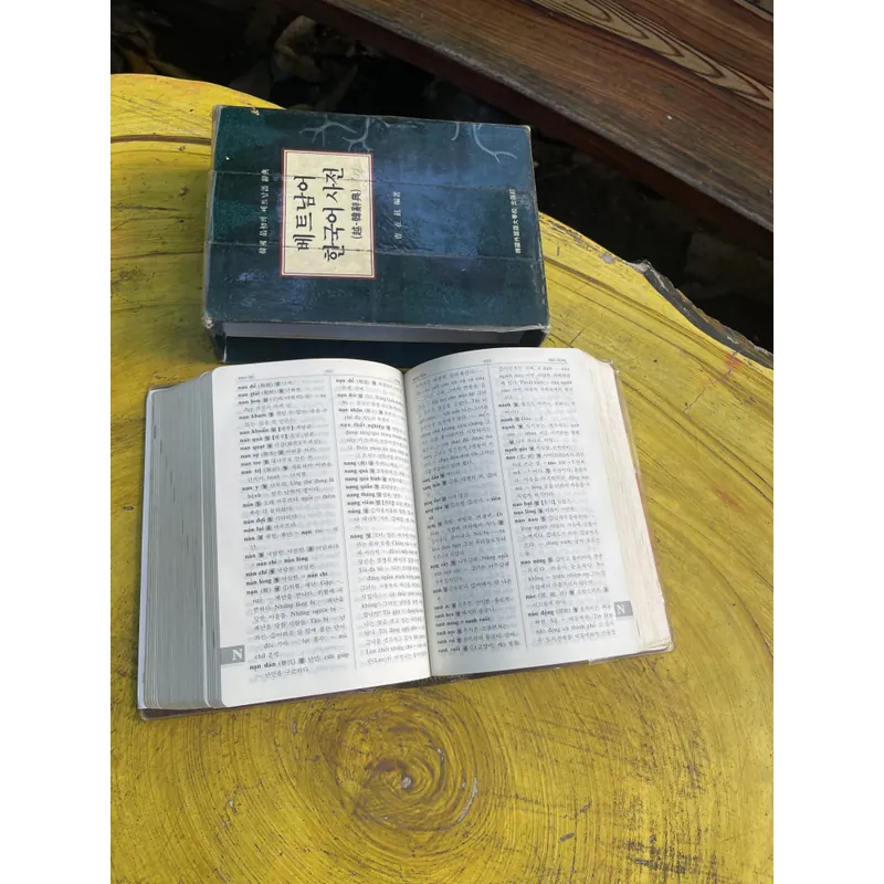 BOXSET TỪ ĐIỂN VIỆT HÀN- GS. CHO JAE - HYUN 735654