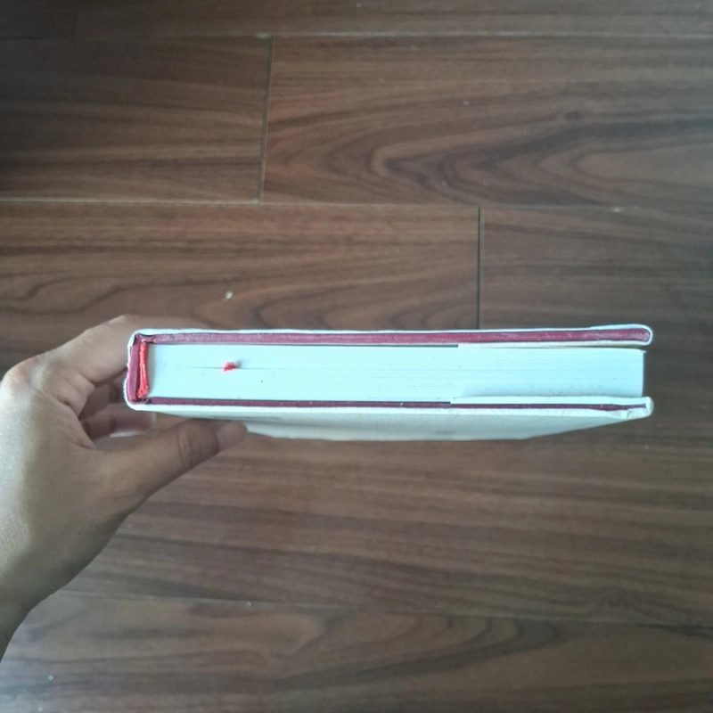 Thư pháp chữ việt 521346