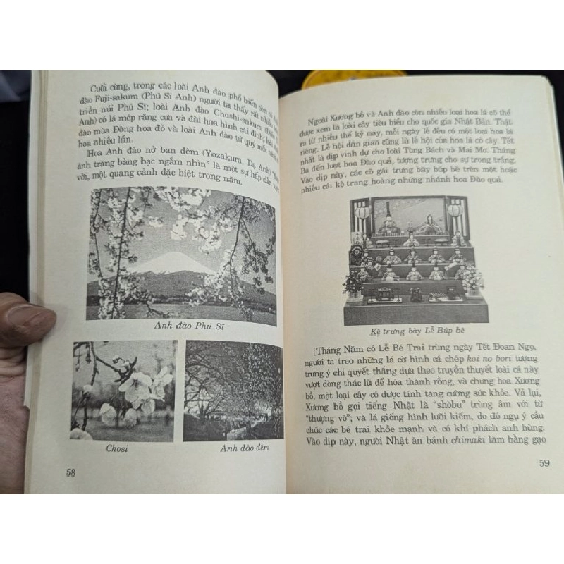 Hoa đạo - George Ohsawa 330745