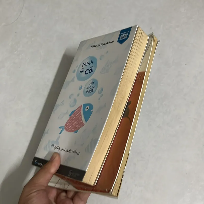 Combo Cá và con mèo 578019