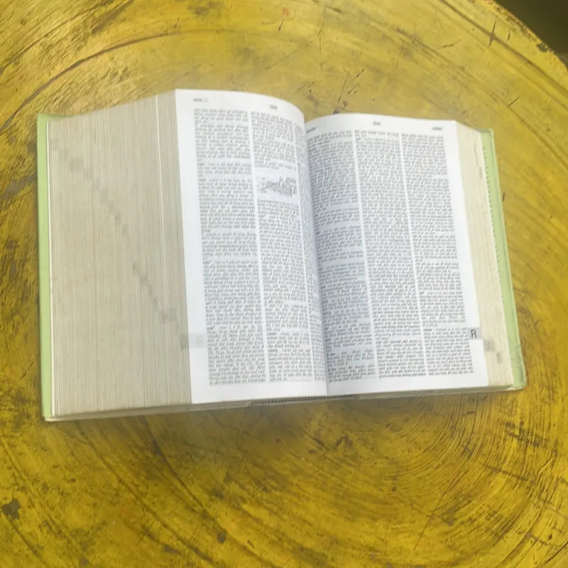 TỪ ĐIỂN ANH - VIỆT - ENGLISH- VIETNAMESE DICTIONARY  699413