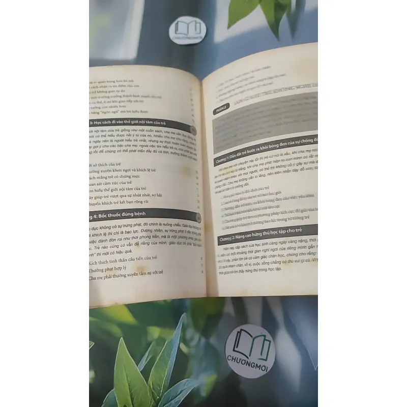 Vì Sao Trẻ Không Nghe Lời - Lưu Diễm 1018925