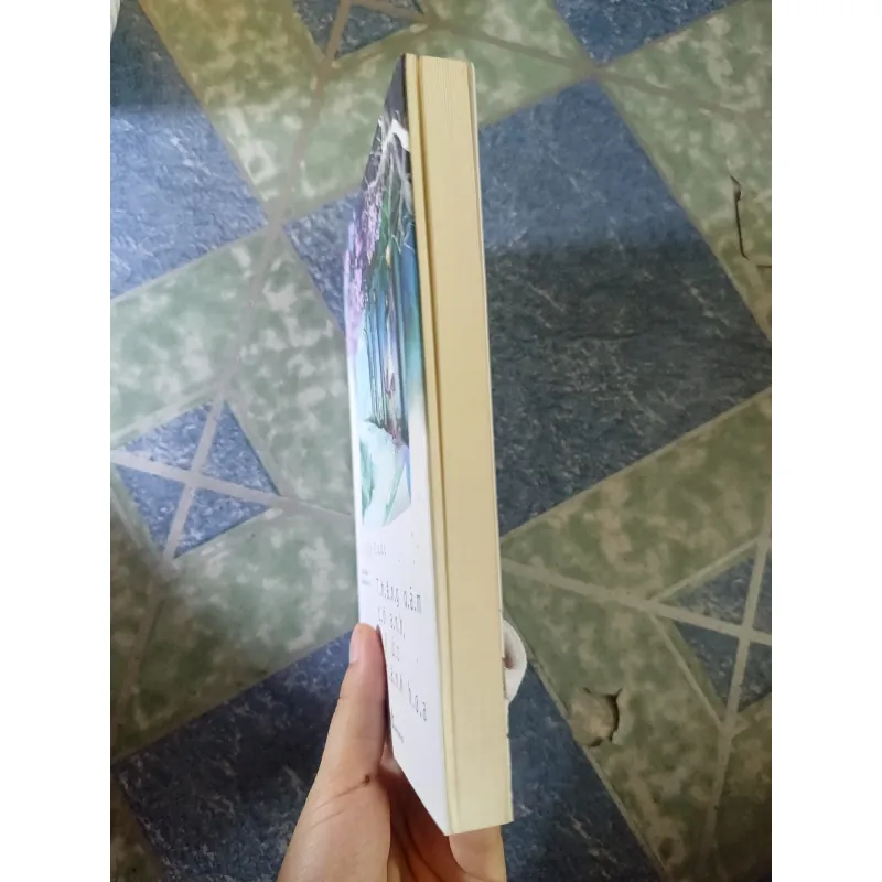 Tháng năm có anh ký ức thành hoa - Cố Tây Tước 933572