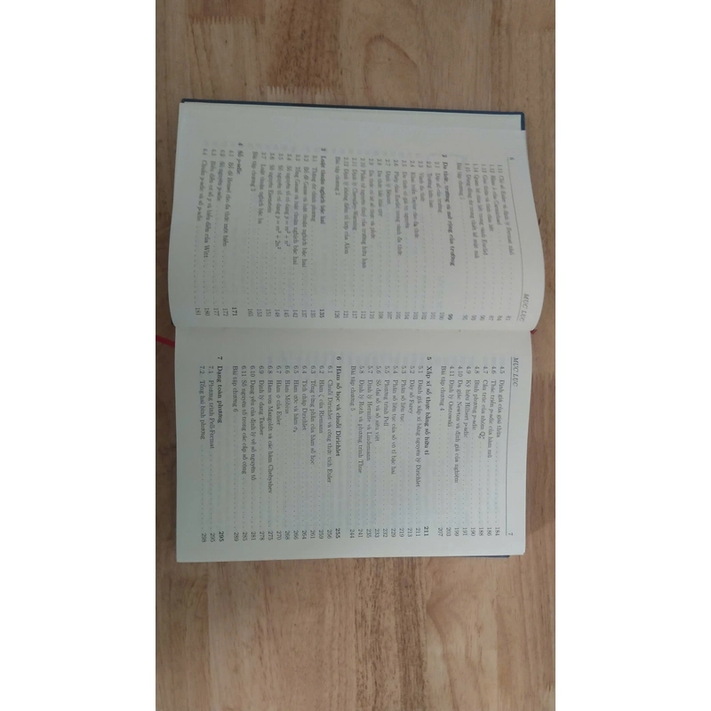 Lý thuyết số sơ cấp (bìa cứng) - Ngô bảo châu 539200
