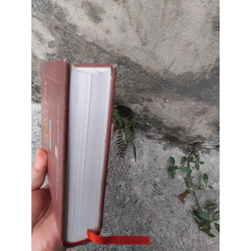Nhân vật chí Quảng Trị ( Người Quảng Trị ) 1036782