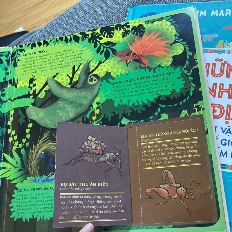 Atlas da tương tác  về động vật hoang dã 766035