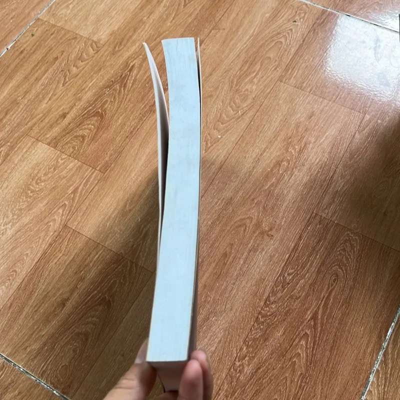 Lý thuyết tổ chức và tập đoàn đa quốc gia  745211