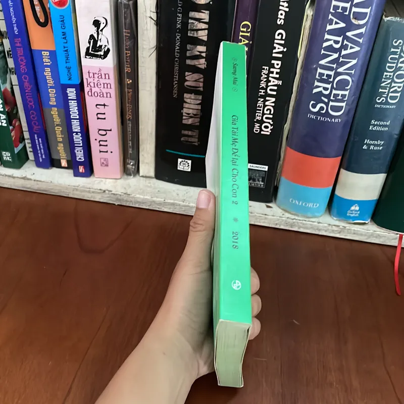 II Tựa sách: Gia Tài Mẹ Để Lại Cho Con (Tập 2) - Sương Mai - 2018 563255