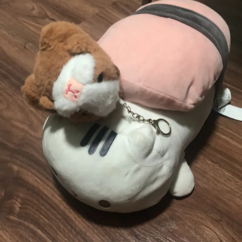 Mèo Sushi, tặng móc khoá Capybara 778852