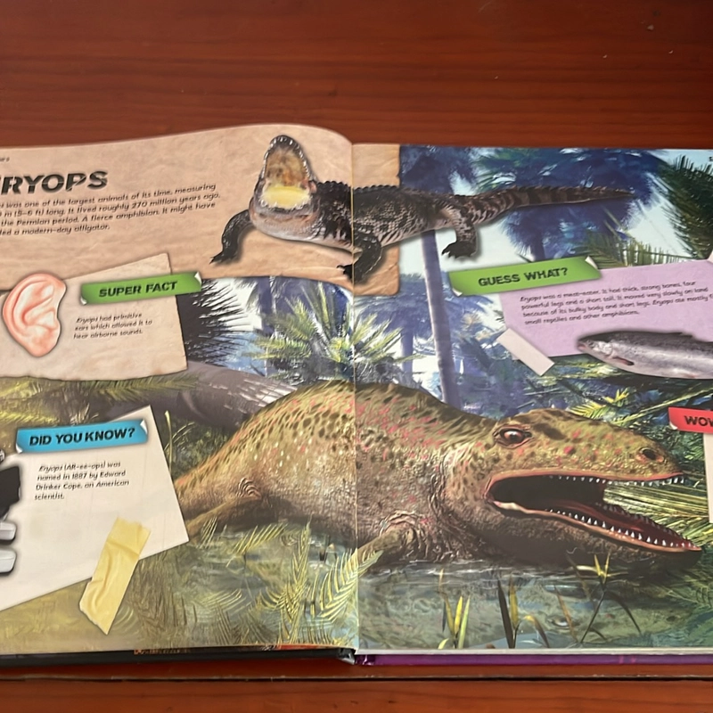 PICTURE BOOK Dinosaurs 534291