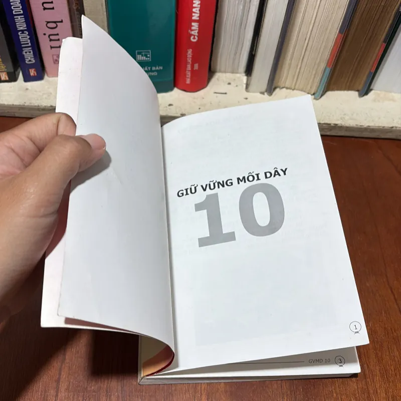 II Hướng Đạo Việt Nam: Giữ Vững Mối Dây (Lưu Hành Nội Bộ) - 2013 755363