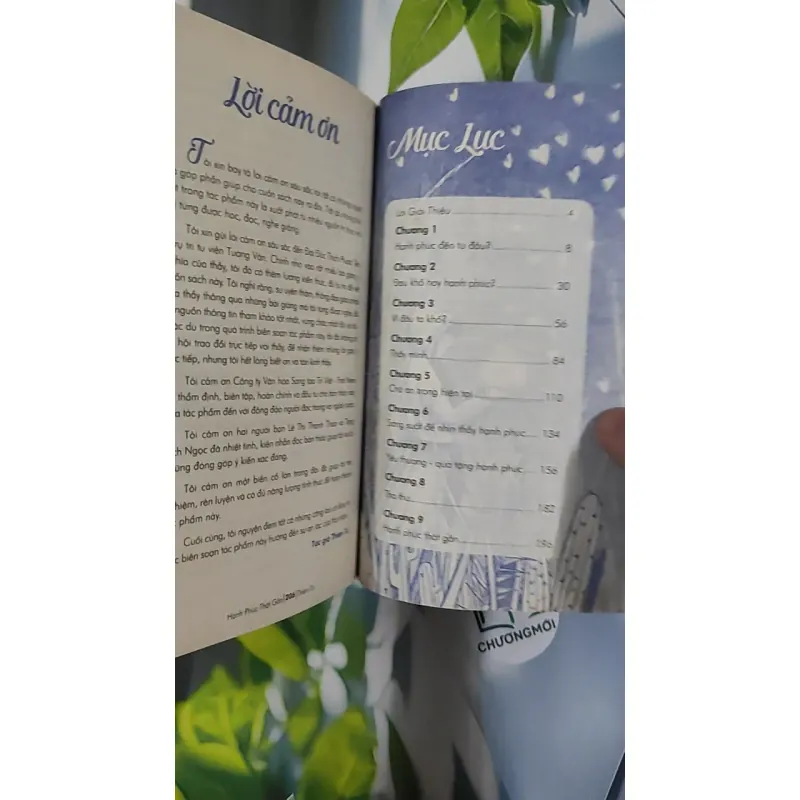 Hạnh Phúc Thật Gần - Thiện Từ 798470