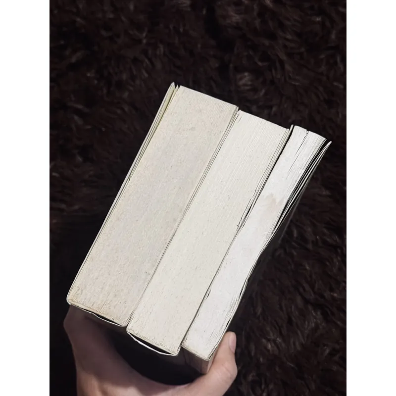 Combo 3c Erich Maria Remarque 712063