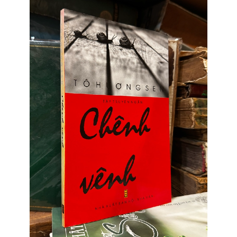 Chênh vênh - Tô Hương Sen 474920