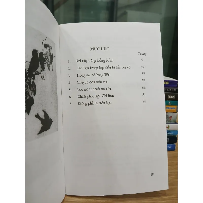 Nơi mây trắng bồng bềnh – Cao Văn Tư 560815