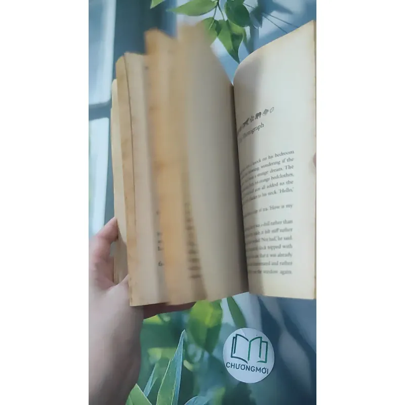 The Curious Charms of Arthur Pepper - Phaedra Patrick 1033618