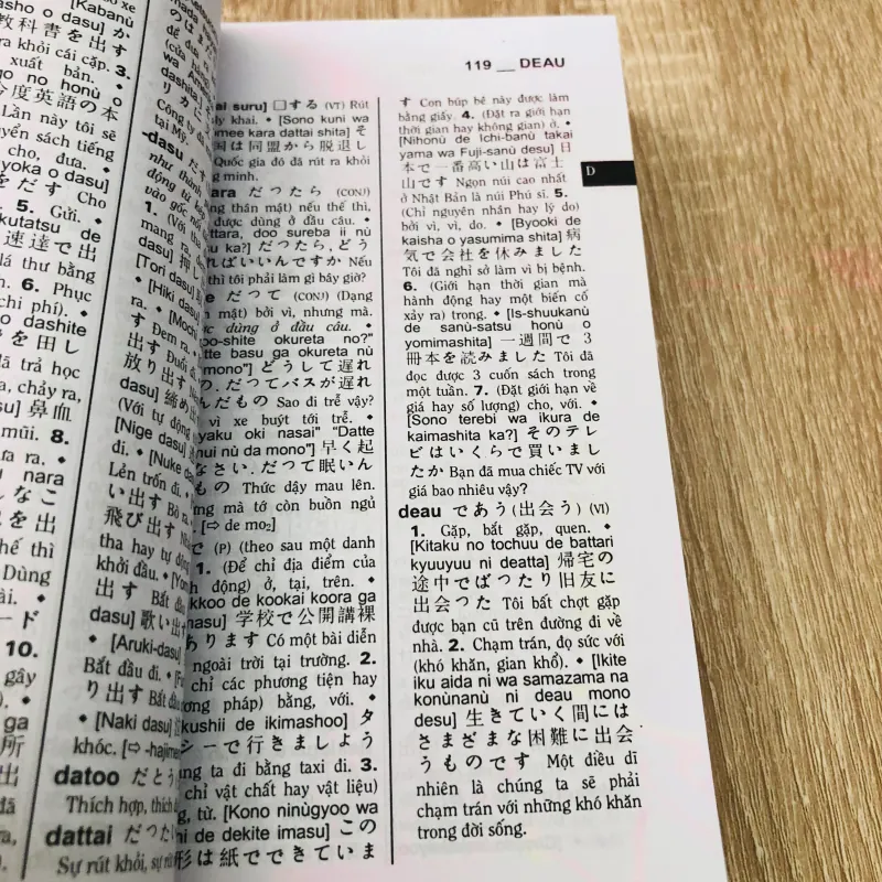 TỪ ĐIỂN NHẬT - VIỆT 1004681