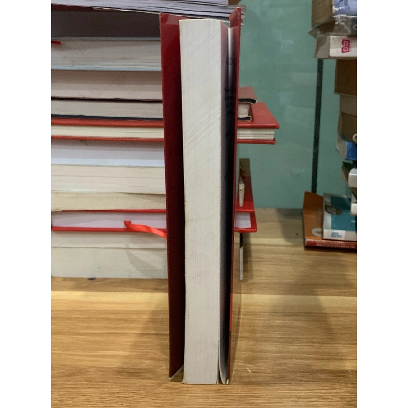 Báo cáo đánh giá quốc gia của Việt Nam-Thanh tra chính phủ 728017