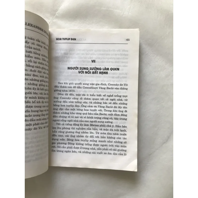 HOA TULIP ĐEN - Alexandre Dumas 761279