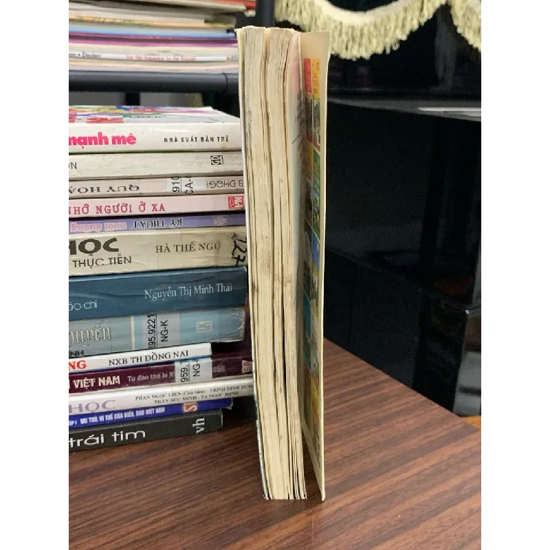 Những trạng Nguyễn đặc biệt trong lịch sử Việt Nam – NXB Thông Tấn 589428