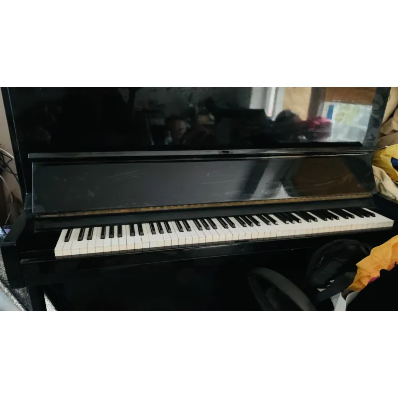 Đàn Piano Cơ của Nhật 751644