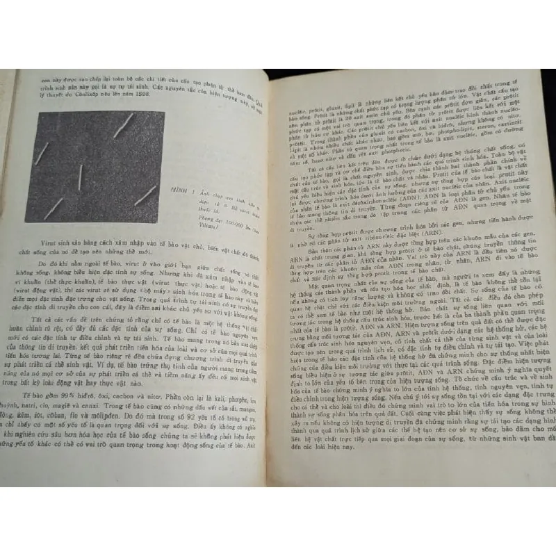 Di truyền học đại cương - N.P.Đubinin ( người dịch Trần Đình Miên và Phan Cự Nhân ) 713738