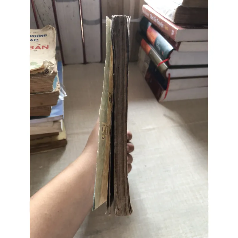 Giảng dạy môn tiếng Việt cấp 1 phổ thông 993455