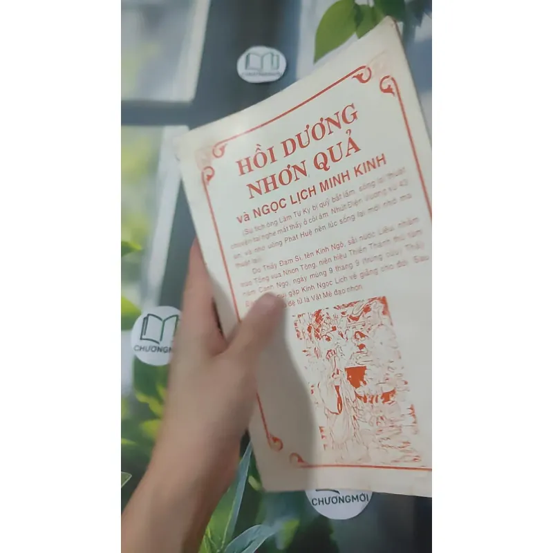 Hồi Dương Nhơn Quả 1018902