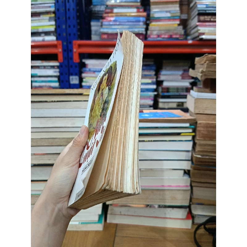 Nữ luật sư - Ngụy Nhã Hoa (Thượng Thuận dịch) 732087