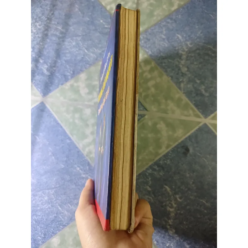 Bí quyết thành công trong đời người - định hướng nghề nghiệp - William G. Benham's 746687