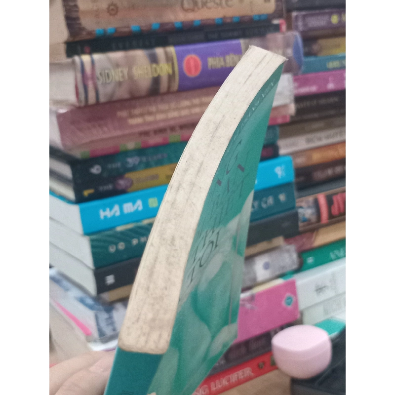 Những Người Bạn Thân Thiết của Tôi 718696
