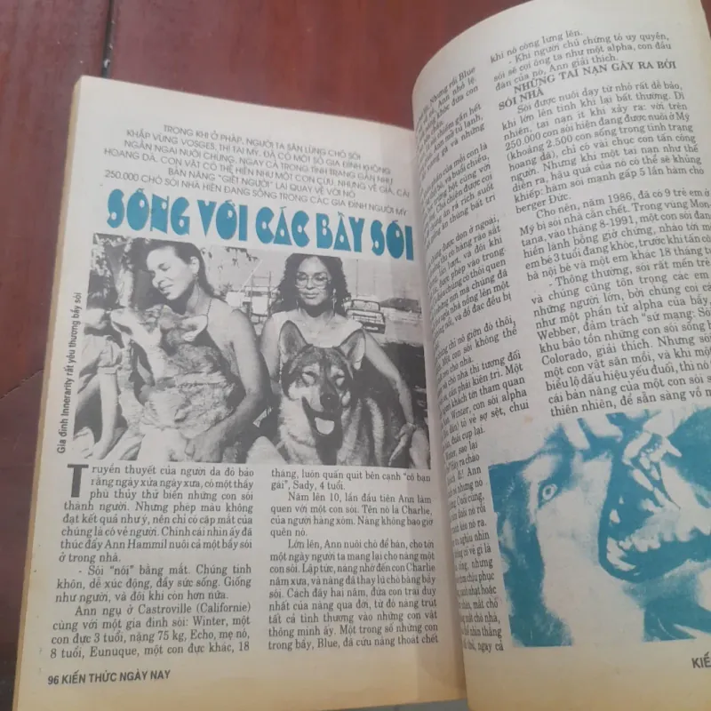 Tạp chí KIẾN THỨC NGÀY NAY số 153 tháng 10-1994 753917