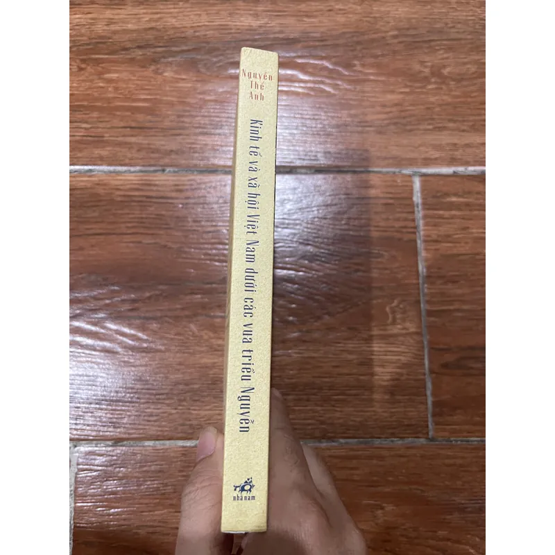KINH TẾ VÀ XÃ HỘI VIỆT NAM DƯỚI CÁC VUA TRIỀU NGUYỄN - Nguyễn Thế Anh (7) 697831