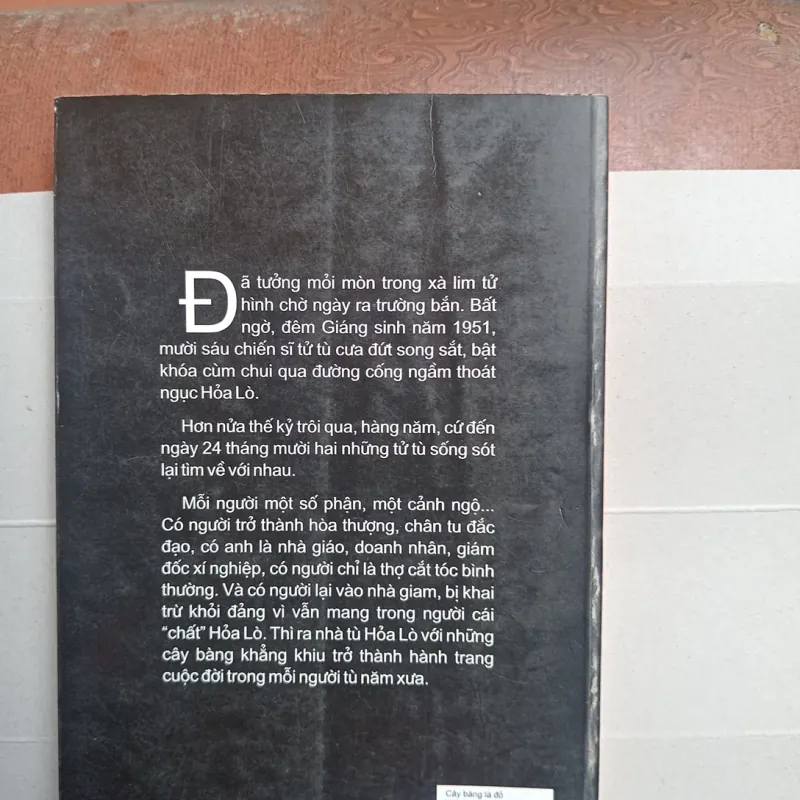 Cây bàng lá đỏ 996479