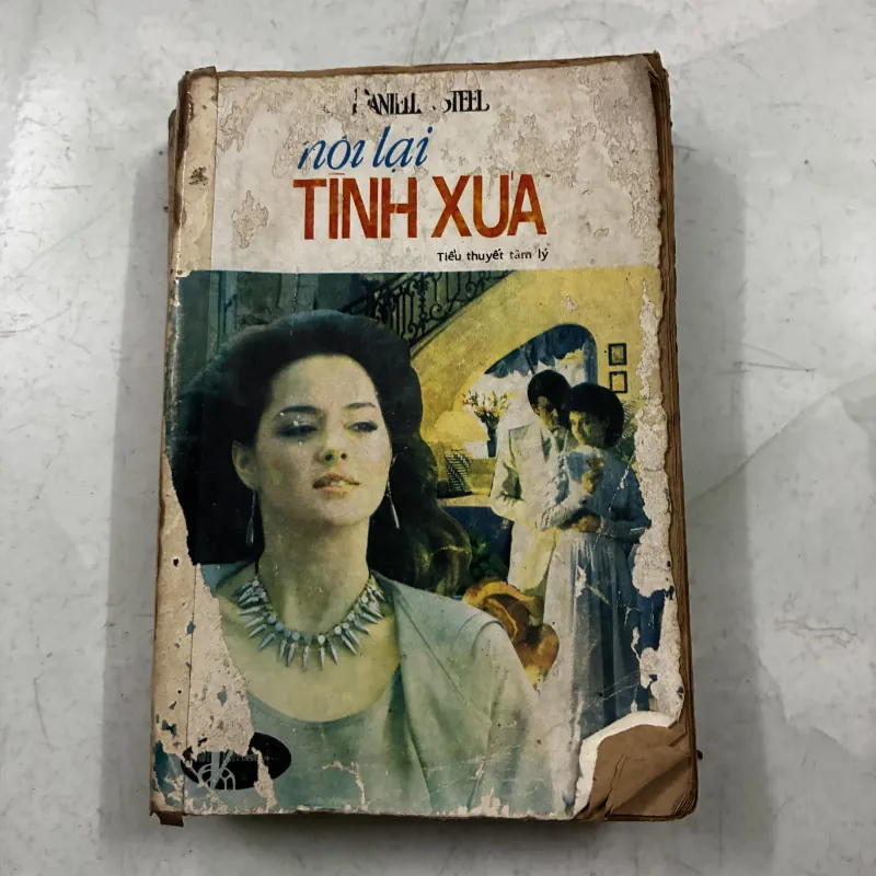 Nối lại tình xưa - Deniel Steel 1024689