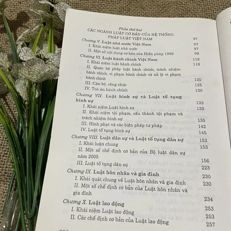 Pháp luật đại cương Dùng trong các trường đại học, cao đẳng và trung học chuyên nghiệp 797689