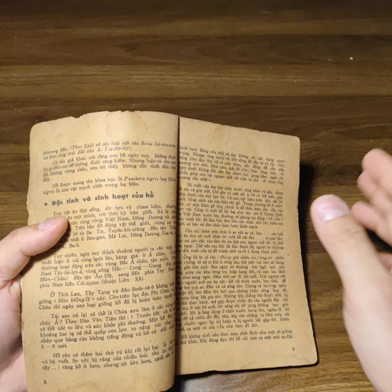 Các Con Vật Trên Rừng Dưới Biển - Đoàn Giỏi 1022201