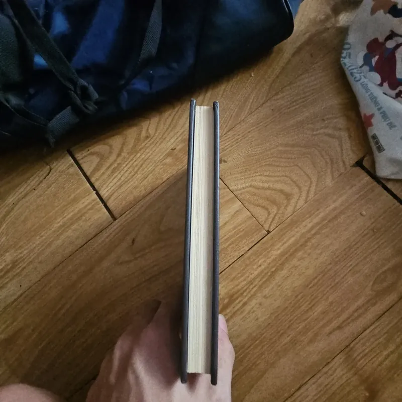 The Spiderwick Chronicles Diterlizzi and Black book 5 Giá 20k  602628