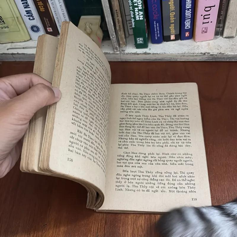 II Sách Xưa: Con Đường Chết (Tiểu Thuyết Hình Sự) - Đức Dũng - 1989 599920