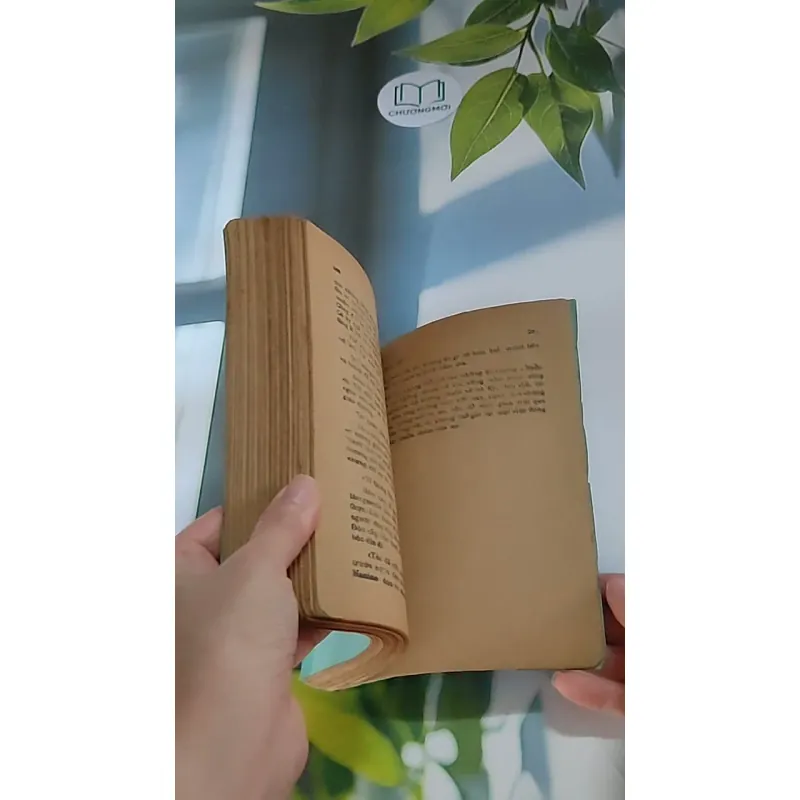 Trà hoa nữ (1987) - Alexander Dumas con 607733