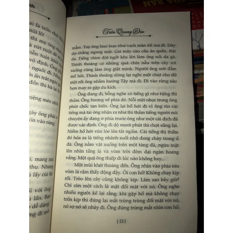 Đêm ảo ảnh - Trần Quang Đạo 1011128