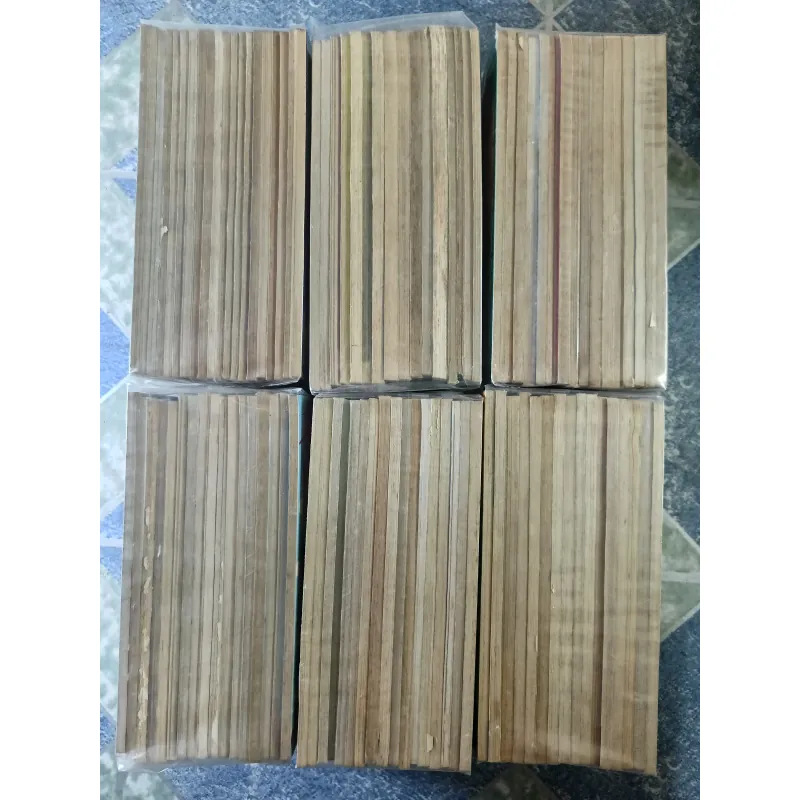 Bộ thần đồng đất Việt 228 tập + 5 cuốn thần đồng đất Việt Hoàng Sa Trường Sa 733379