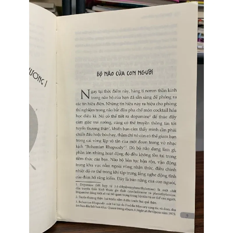 Cân bằng cảm xúc cả lúc bão giông- Richard Nicholls 601692