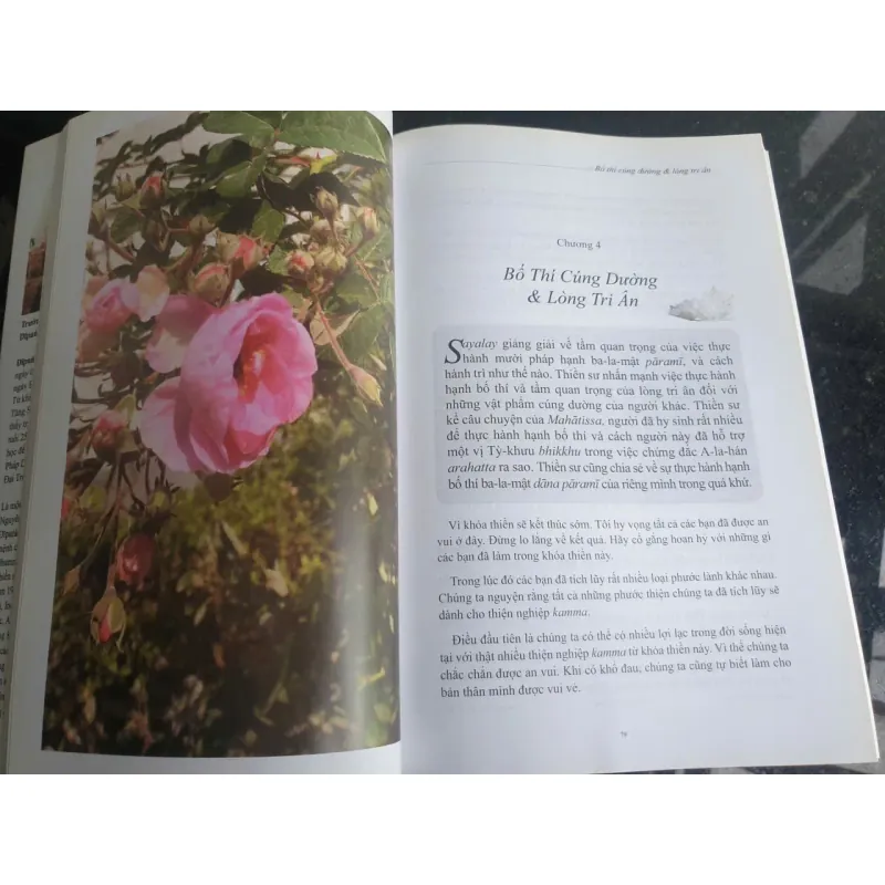 Hạnh Phúc Tâm Bình An 687526