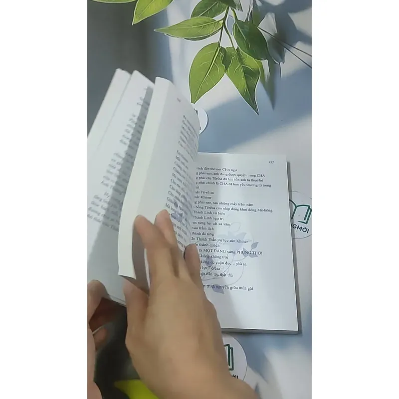 Mưa hồng ánh thiêng - Thánh Têresa hài đồng Giêsu 688631